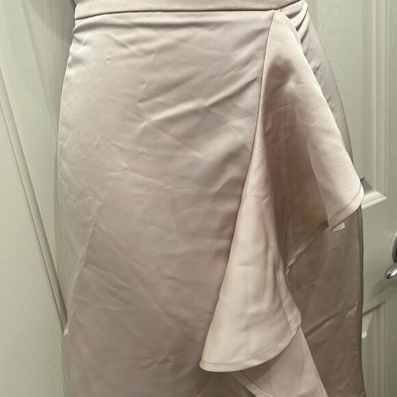 Expressss Skirt Sz 8 Light Pink Slimming Ruffle Front Side Zipper Midi New Silky - Picture 3 of 8